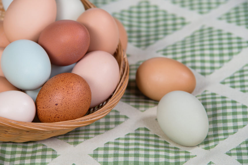 Assortment of different color, fresh, chicken eggs in a basket, closeup with shallow depth of field. Green shade kitchen textile background.